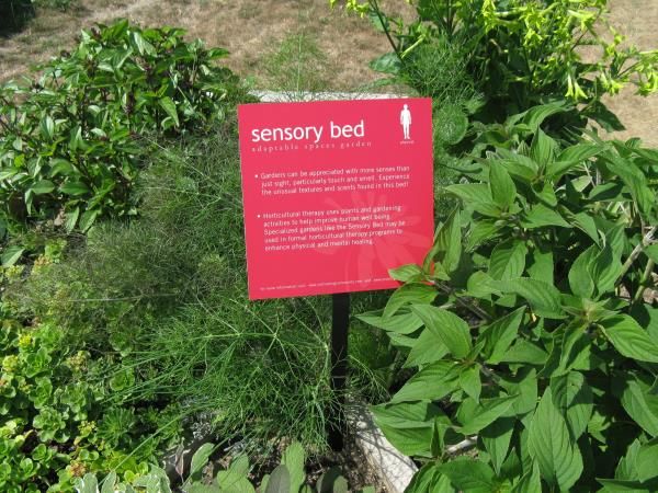 FF015 - Custom Free Standing Frame for Education