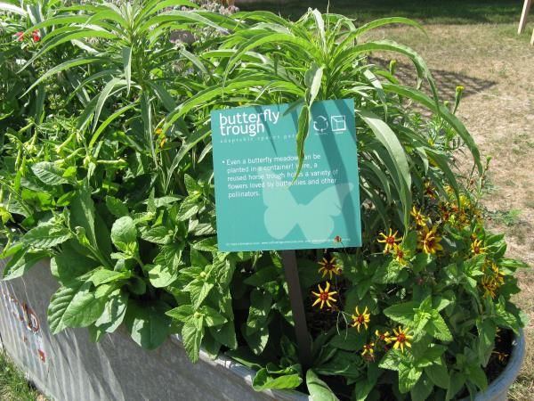 FF016 - Custom Free Standing Frame for Education