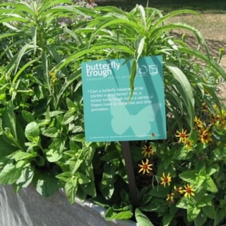 FF016 - Custom Free Standing Frame for Education