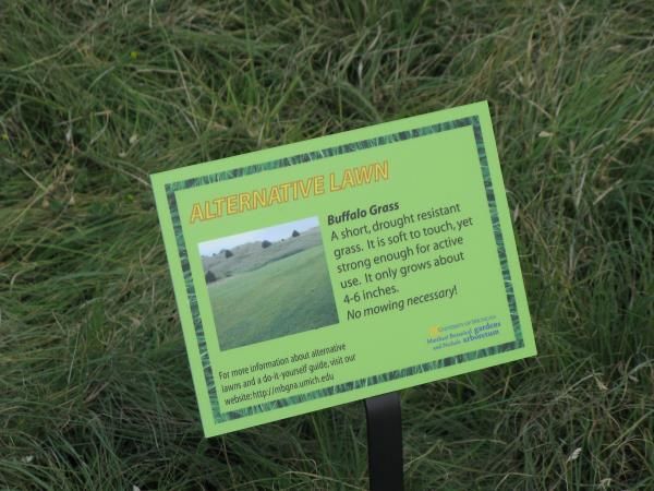 FF017 - Custom Free Standing Frame for Education