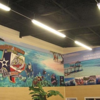 WM016 - Custom Wall Mural for Retail