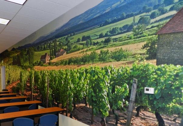 WM045 - Custom Wall Mural for Interior Design