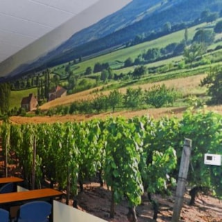 WM045 - Custom Wall Mural for Interior Design