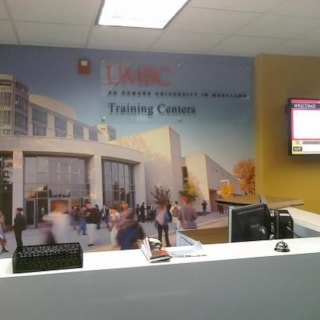 WM046 - Custom Wall Mural for Education