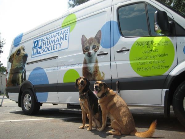 PART054 - Custom Partial Wrap for Non-Profits & Associations