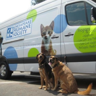 PART054 - Custom Partial Wrap for Non-Profits & Associations