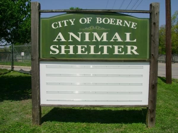 CLS005 - Custom Changeable Letter Sign for Healthcare