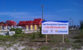 Political Campaign Signs