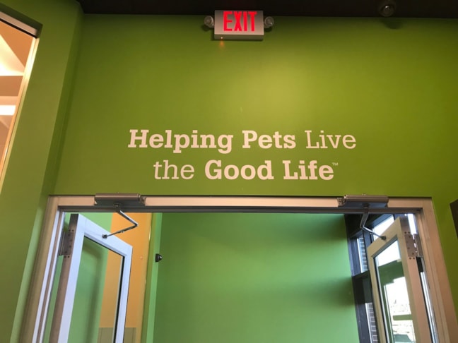 Wall Murals & Graphics