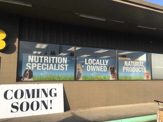 Pet Store Window Graphic with Text and Pictures