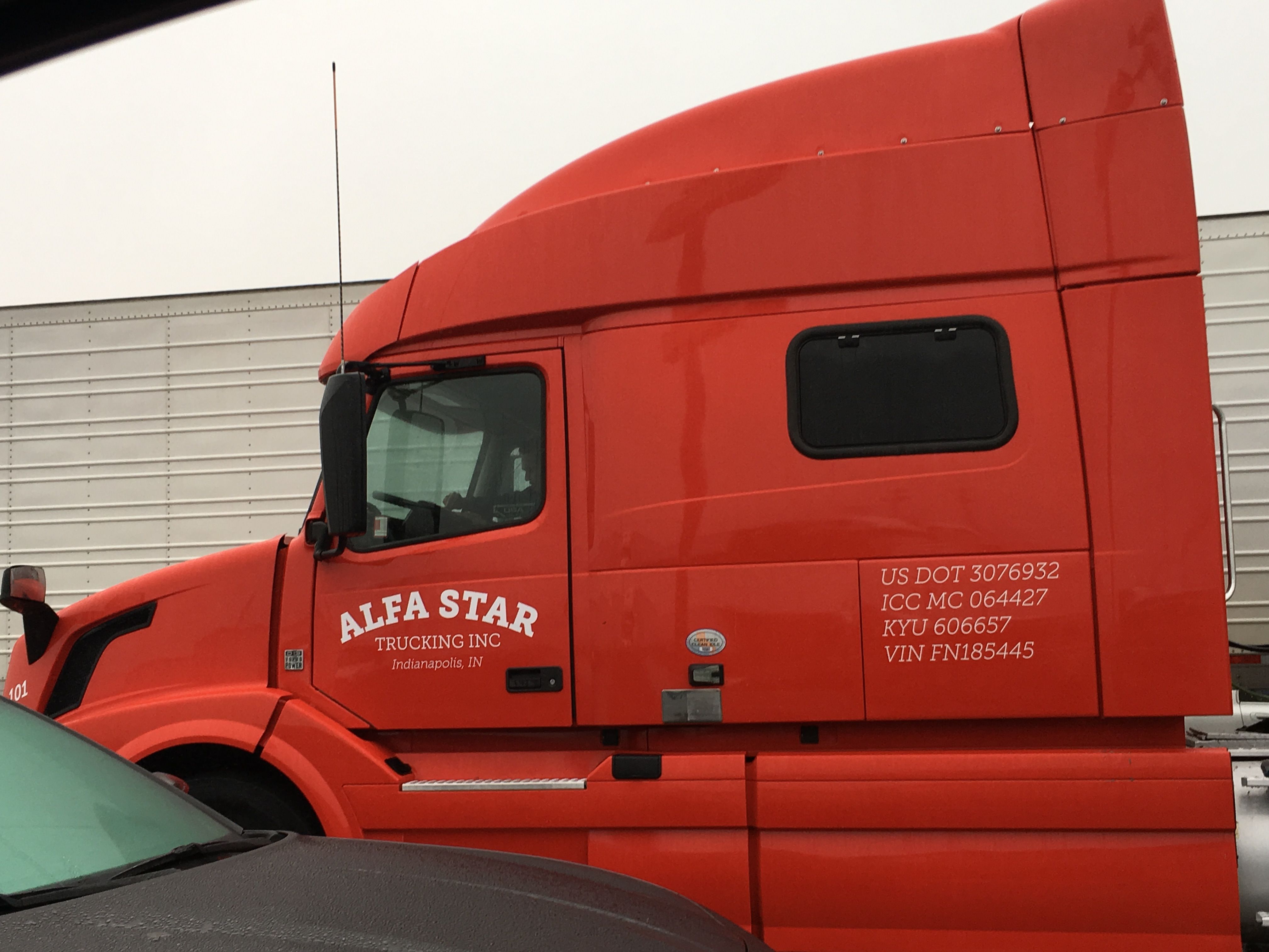 Vehicle Decal for Alfa Star Trucking Indianapolis,IN 