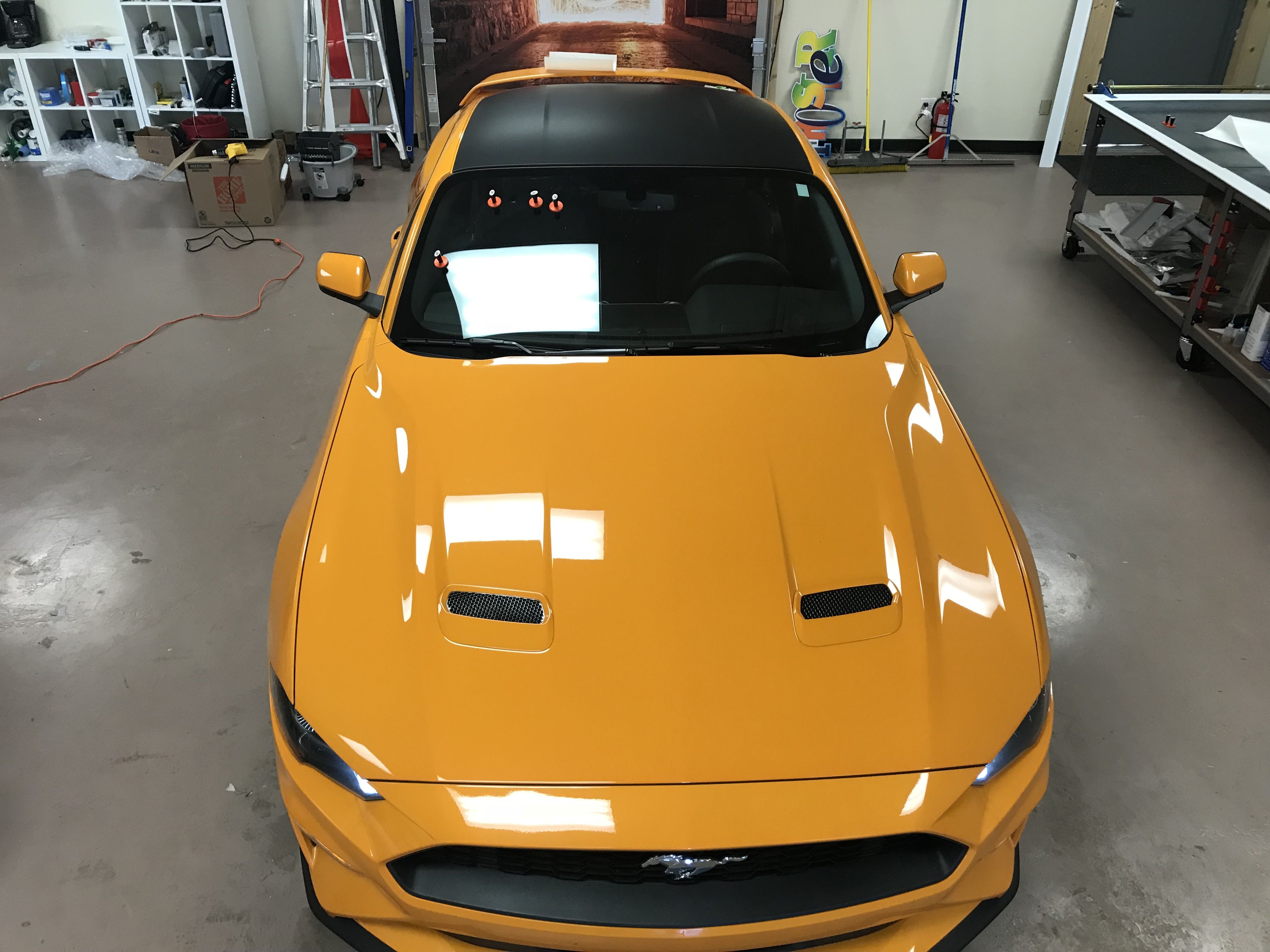 Partial Wrap for Mustang in Indianapolis,IN