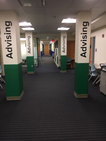 Wall Graphics, Murals, Wallpaper