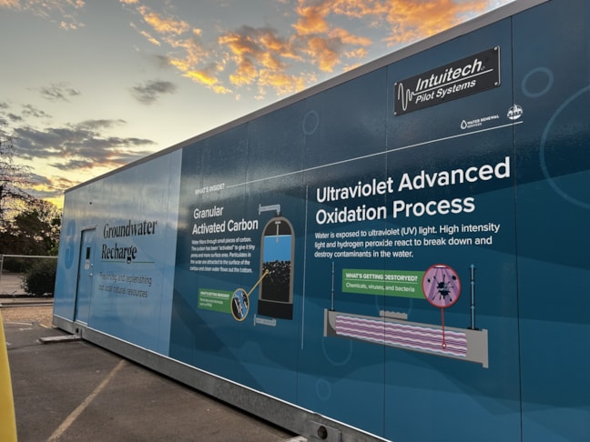 Wall Murals & Graphics