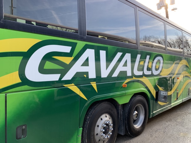 Vehicle Wraps | Professional Services