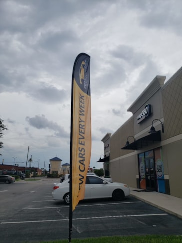 Flutter Flags & Feather Banners