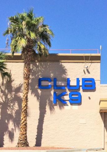 Raceway Mounted Channel Letters