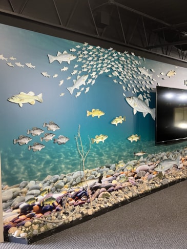 Wall Murals & Graphics