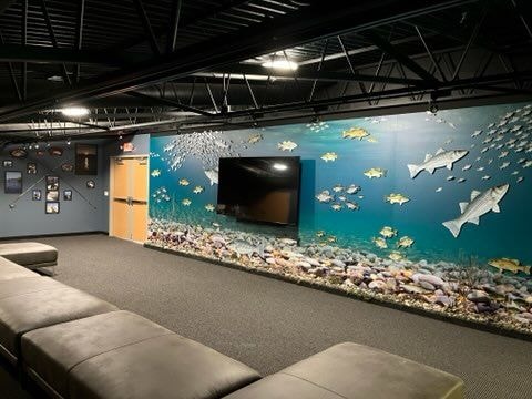 Wall Murals & Graphics