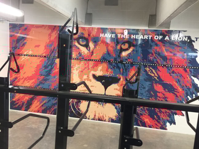 Wall Murals & Graphics