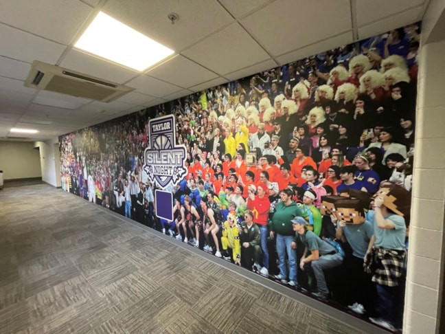 Wall Murals & Graphics