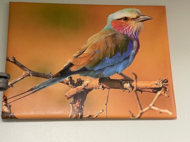 Canvas & Fabric Prints & Signage