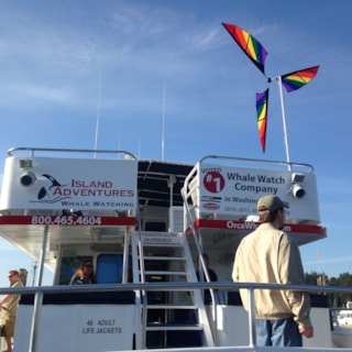Boat Graphics - Cut Vinyl - Island Adventures Whale Watching - Anacortes, WA