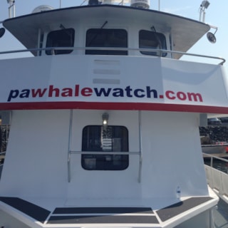 - Vehicle Graphics - Boat Graphics - Island Adventure - Anacortes, WA