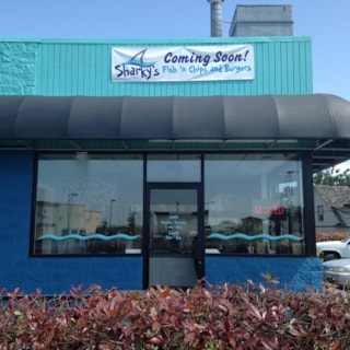 - Custom Graphics - Window Graphics & Banner - Sharky