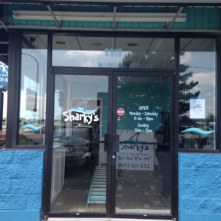 - Custom Graphics - Window Graphics - Sharky