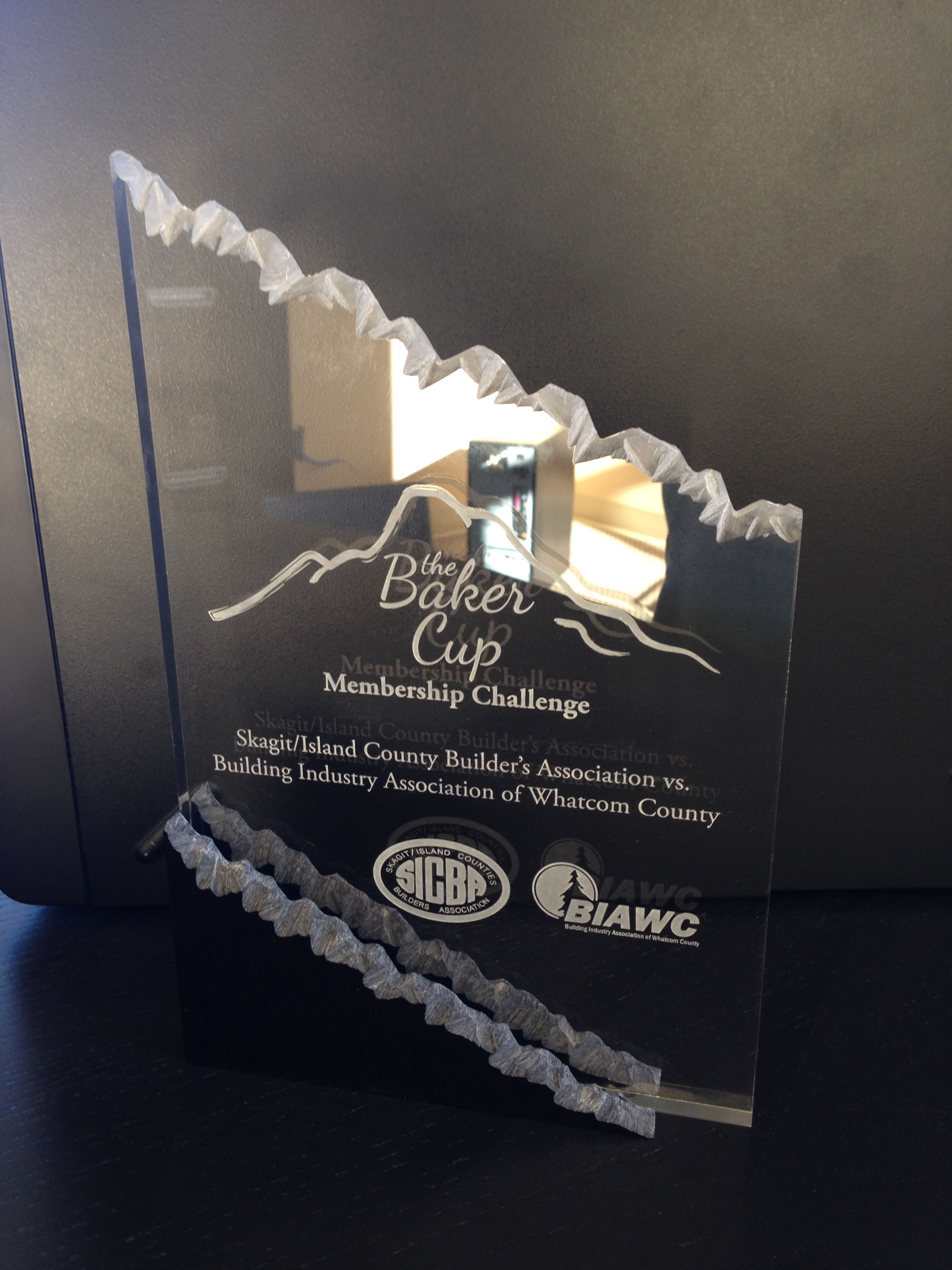  - Image360-Burlington-WA-LaserEngraved-Trophy-SICBA-SkagitCounty, WA