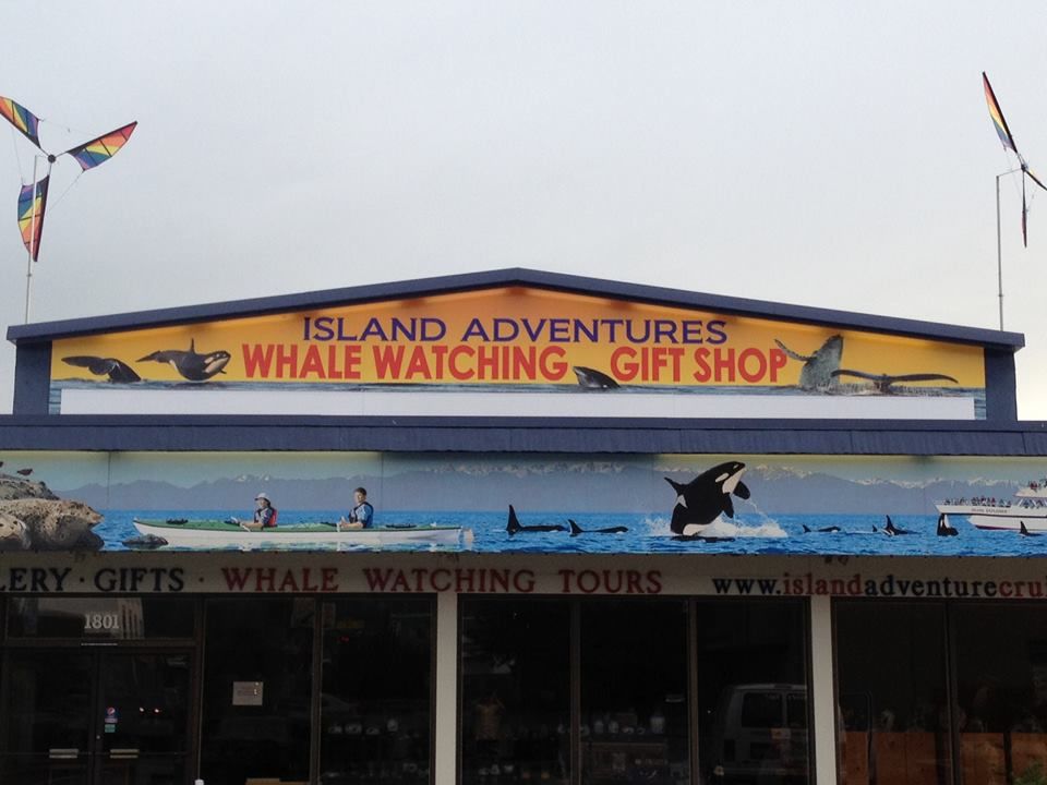 - Architectural Signage - Rigid Signage - Island Adventures Whale Watching - Anacortes, Wa