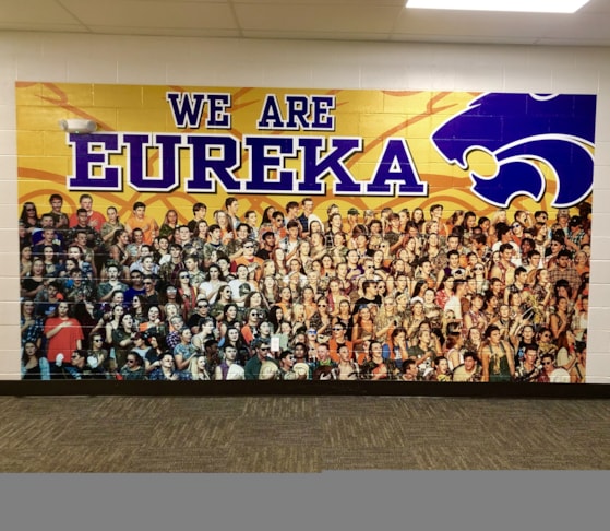 Wall Graphics, Murals, Wallpaper