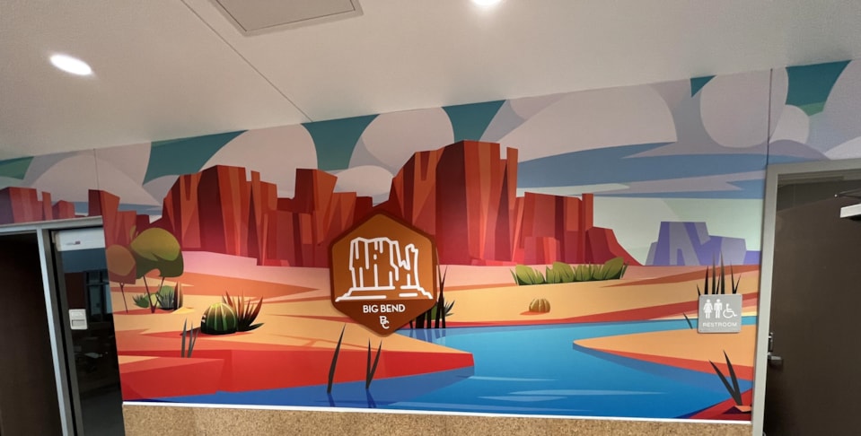 Wall Murals & Graphics