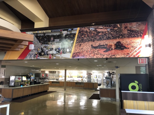 Wall Graphics, Murals, Wallpaper