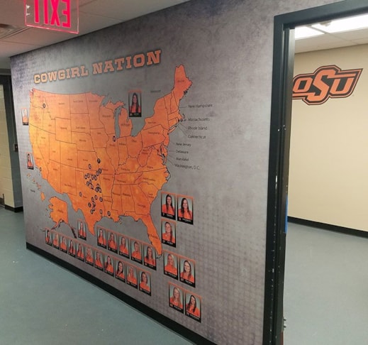 Wall Murals and Graphics