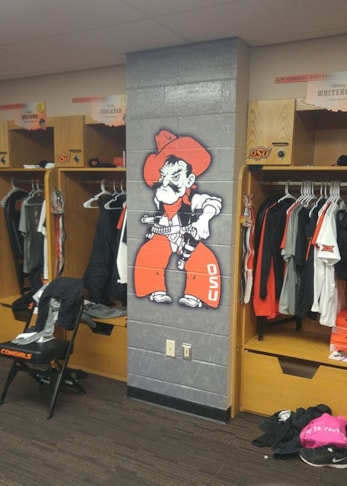 Wall Murals and Graphics