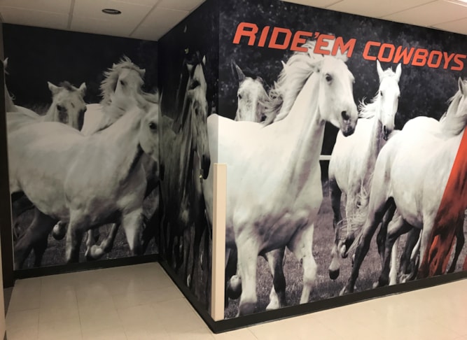 Wall Murals & Graphics