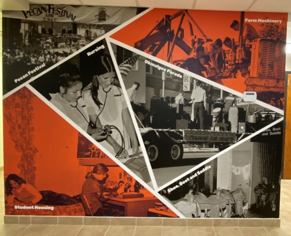 Wall Murals & Graphics