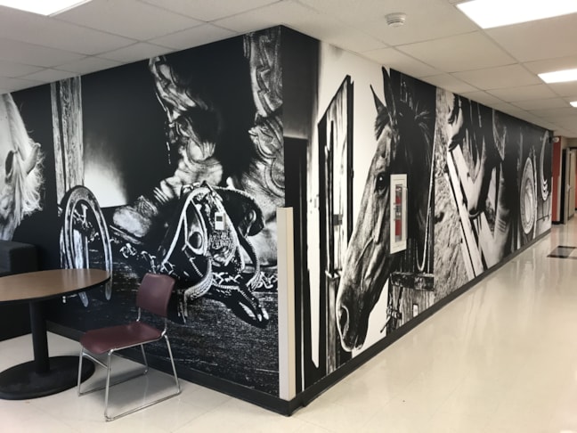 Wall Murals & Graphics