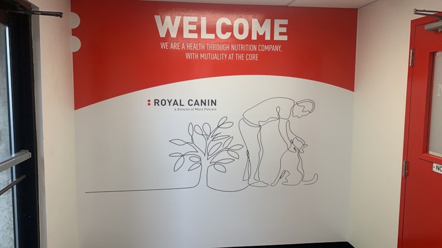 Wall Murals & Graphics