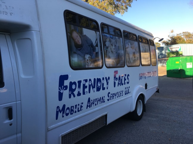 Vehicle Logo Graphics & Lettering