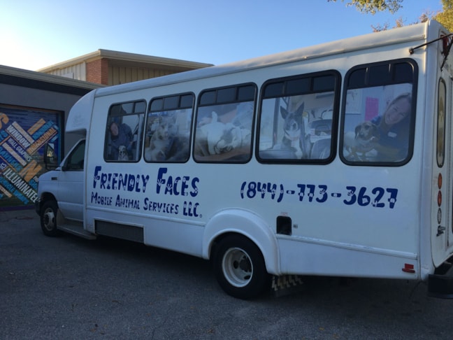 Vehicle Window Decals, Graphics & Lettering