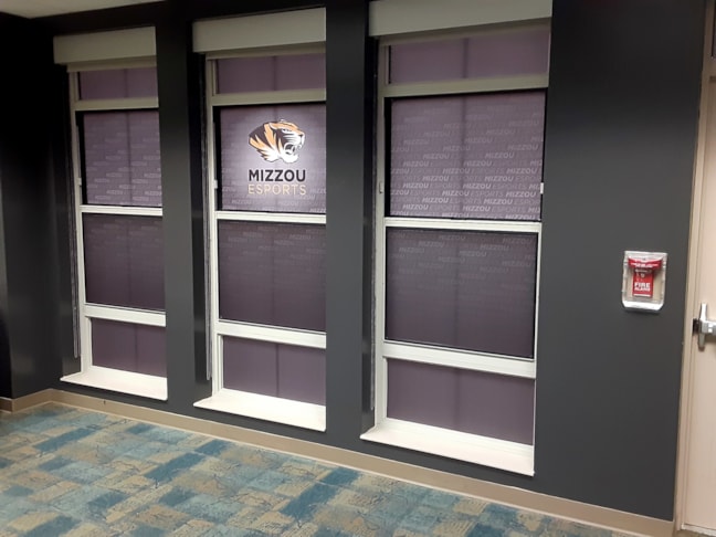 Mizzou Window Vinyl