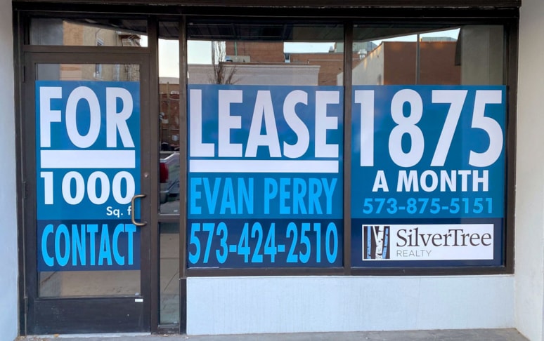 SilverTree Window Graphic