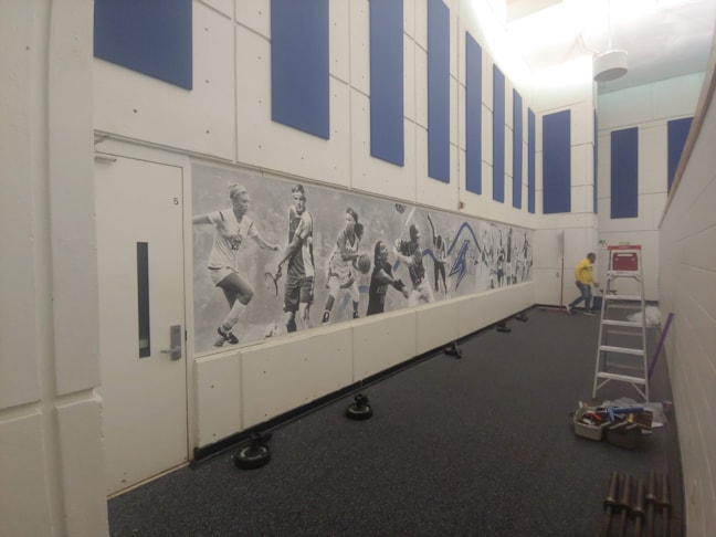 Wall Graphics, Murals, Wallpaper