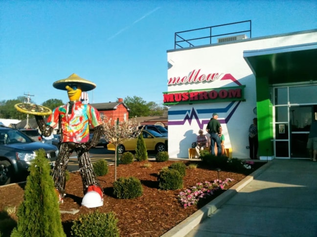 Wall Graphics, Murals, Wallpaper