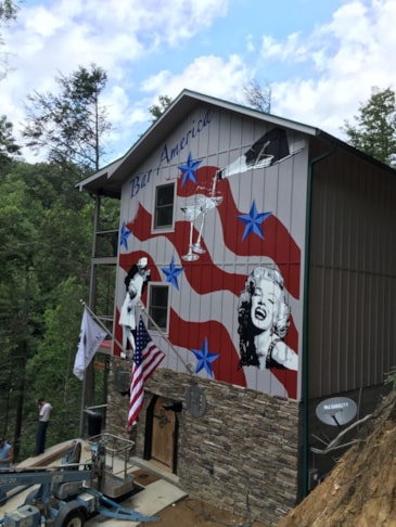 Wall Graphics, Murals, Wallpaper