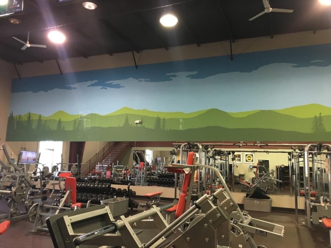 Wall Graphics, Murals, Wallpaper