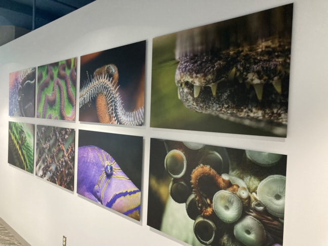 Photography on Aluminum